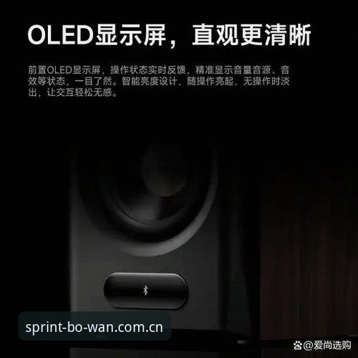 最新博万体育电脑版深度评测：性能优化与用户体验全面解析